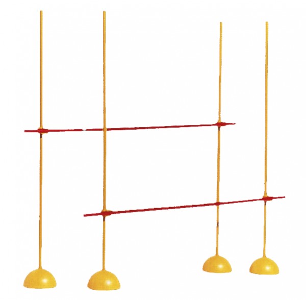 Hürden Set - Agility Grid, verstellbar bis 160cm