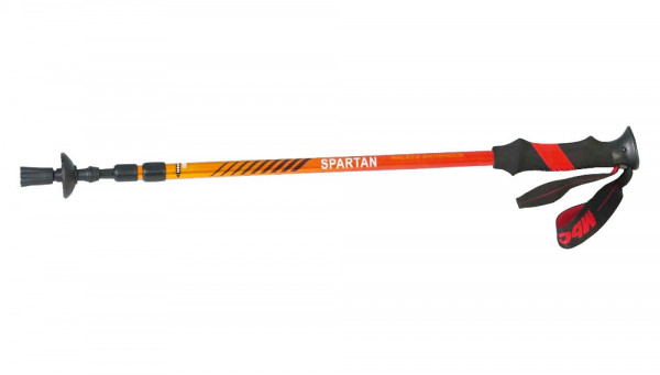 Carbon/Alu-Wanderstock, Paar 20007